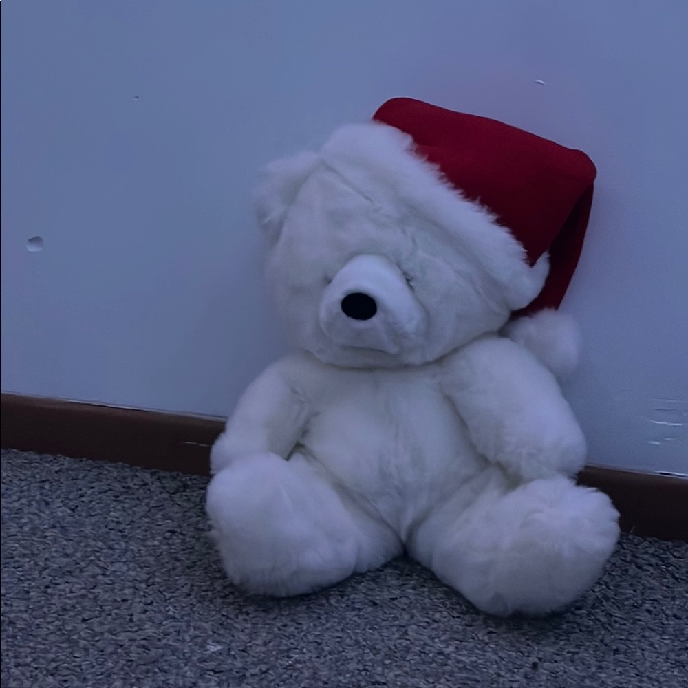 Festive Teddy Bear with Santa Hat